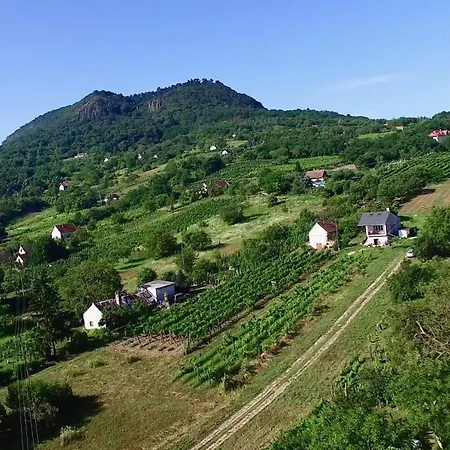 Daire Kali Preshaziko